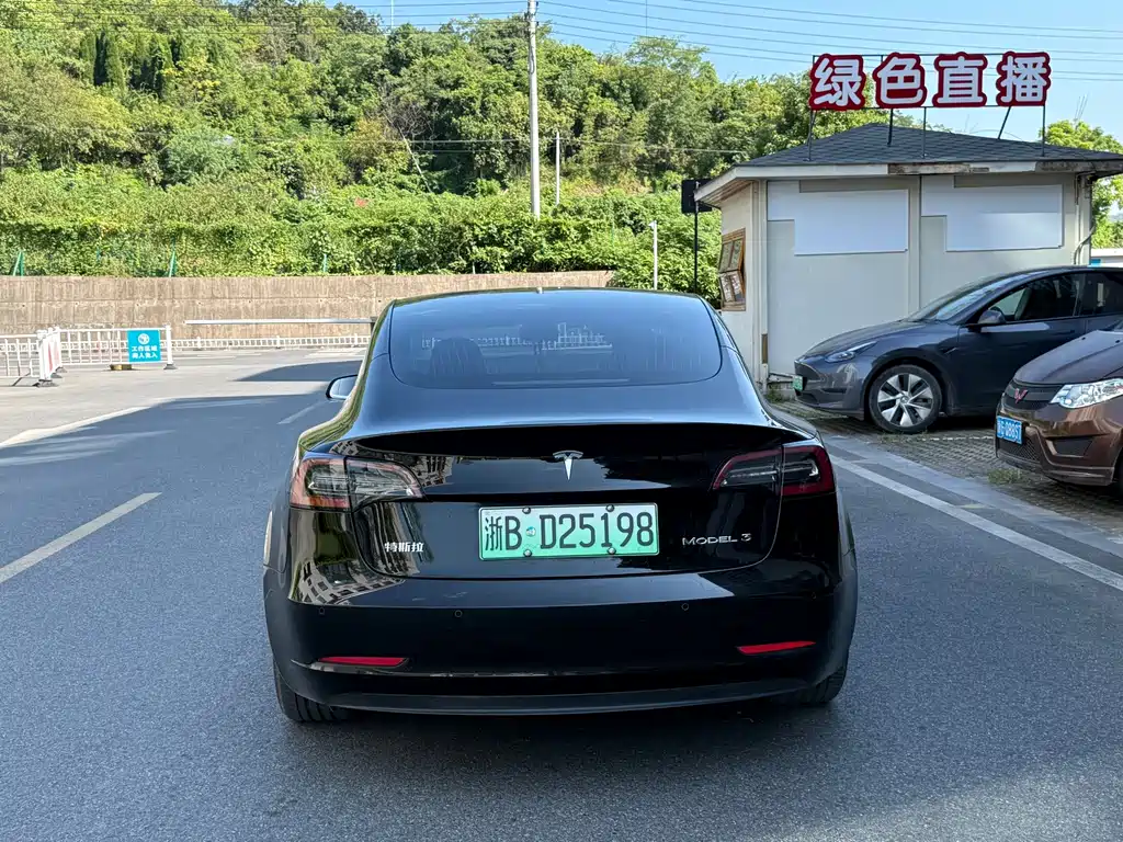 Tesla Model 3 — миниатюра 5