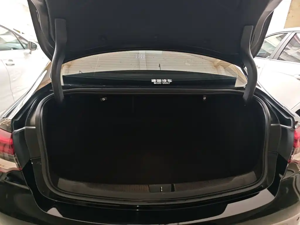 Buick Regal — миниатюра 19