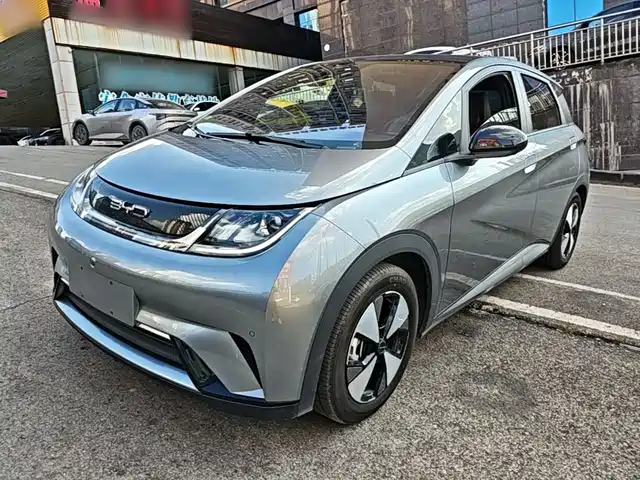 2023 BYD Dolphin
