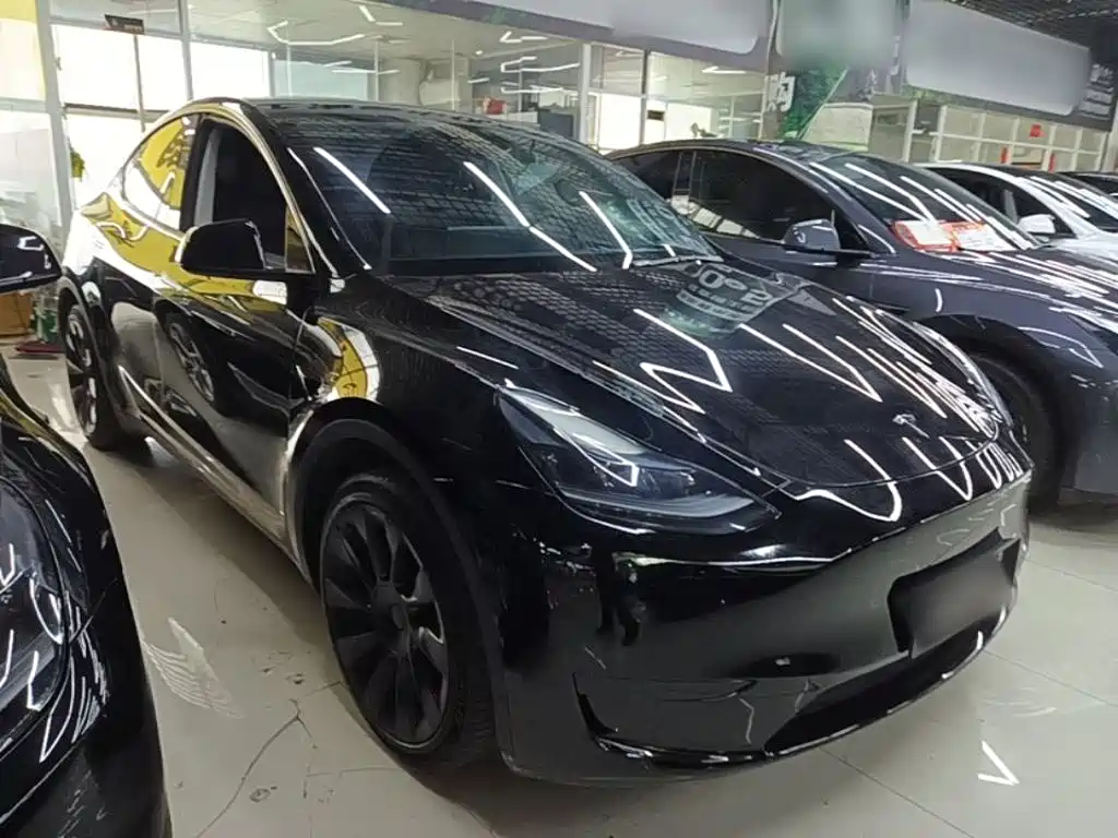 Tesla Model Y — миниатюра 4