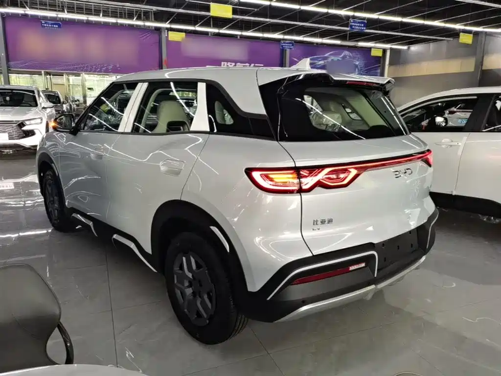 BYD Yuan Up UP 2025 301KM