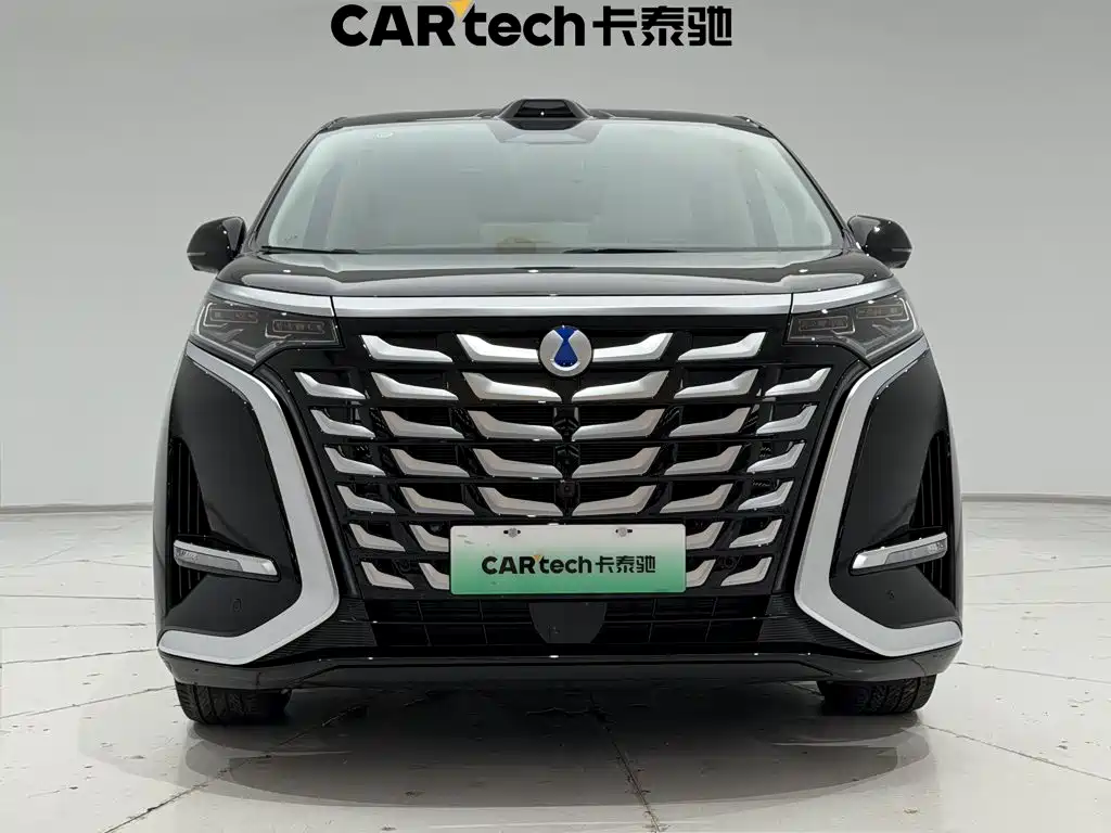 Denza Denza D9 — миниатюра 3