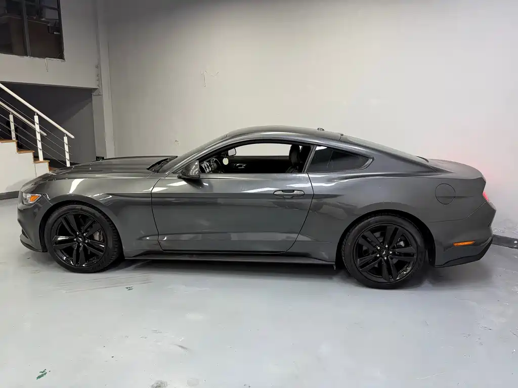 Ford Mustang — миниатюра 12