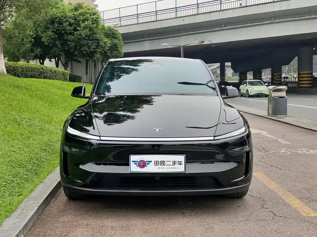 Tesla Model Y — миниатюра 2
