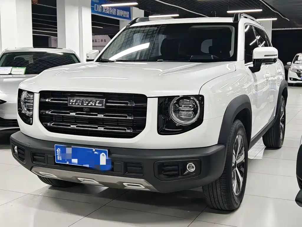 Haval Big Dog 2021