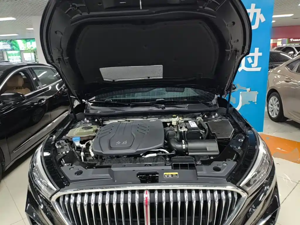 Hongqi Hongqi H5 — миниатюра 20