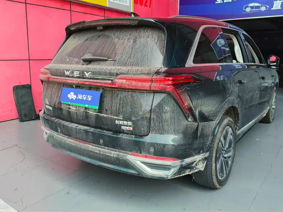 WEI PAI WEI BRAND BLUE MOUNTAIN