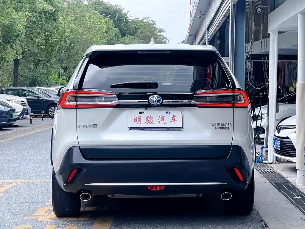 Toyota Wildlander 2020 2.5L E-CVT Luxury