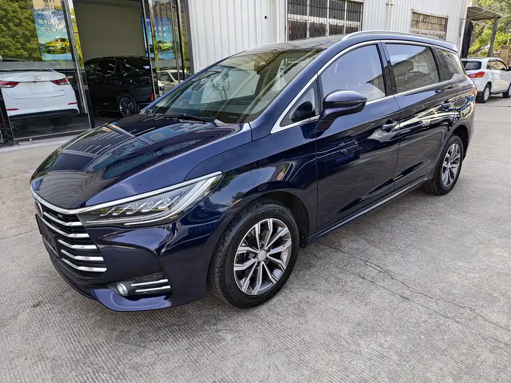 Byd MAX 2020