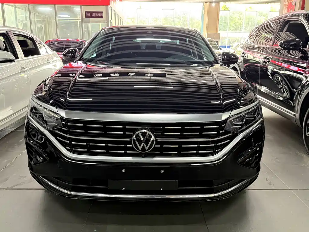 Volkswagen Passat — миниатюра 2