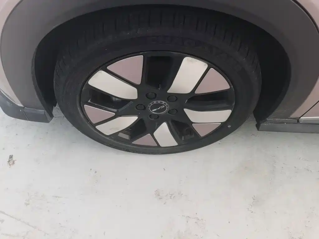BYD Dolphin — миниатюра 23