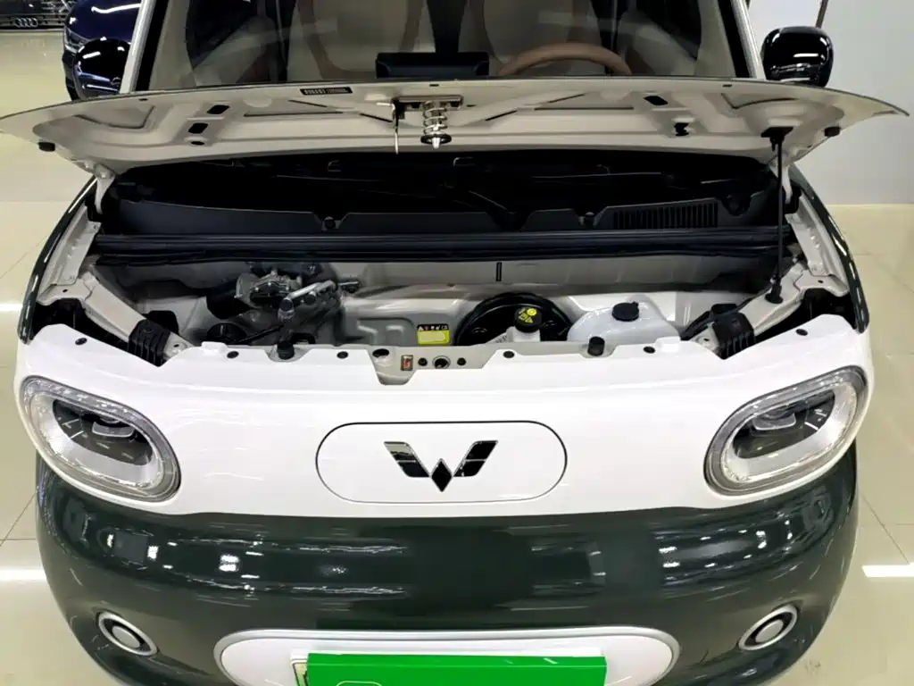 Wuling MINIEV — миниатюра 20