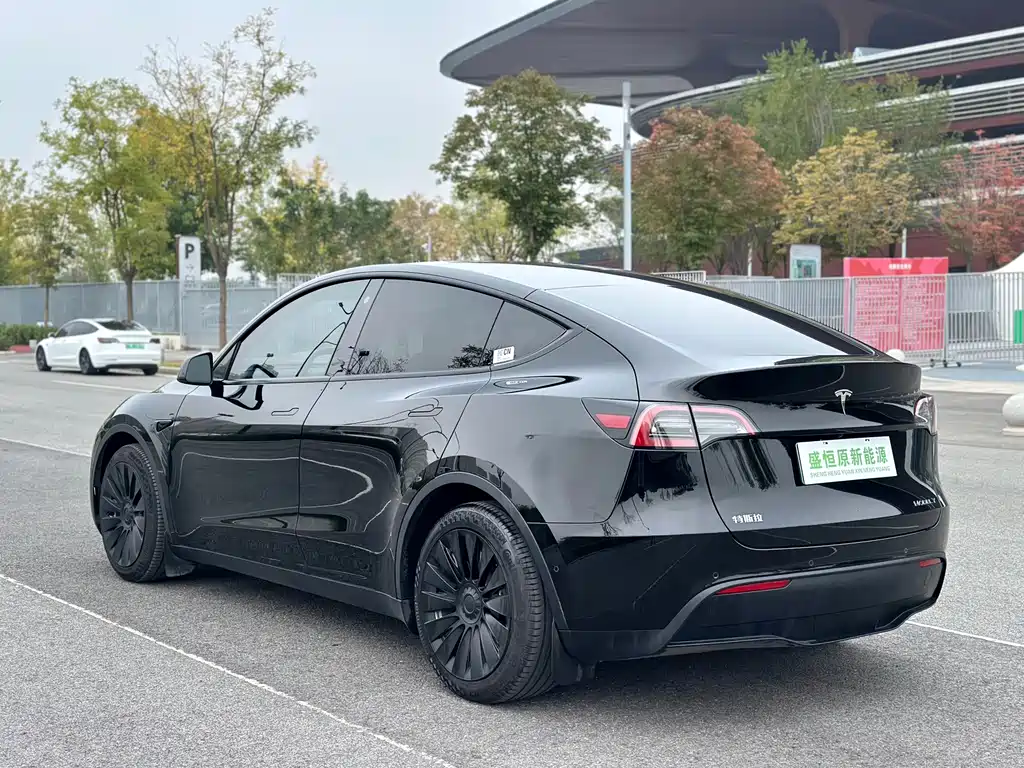 Tesla Model Y — миниатюра 4