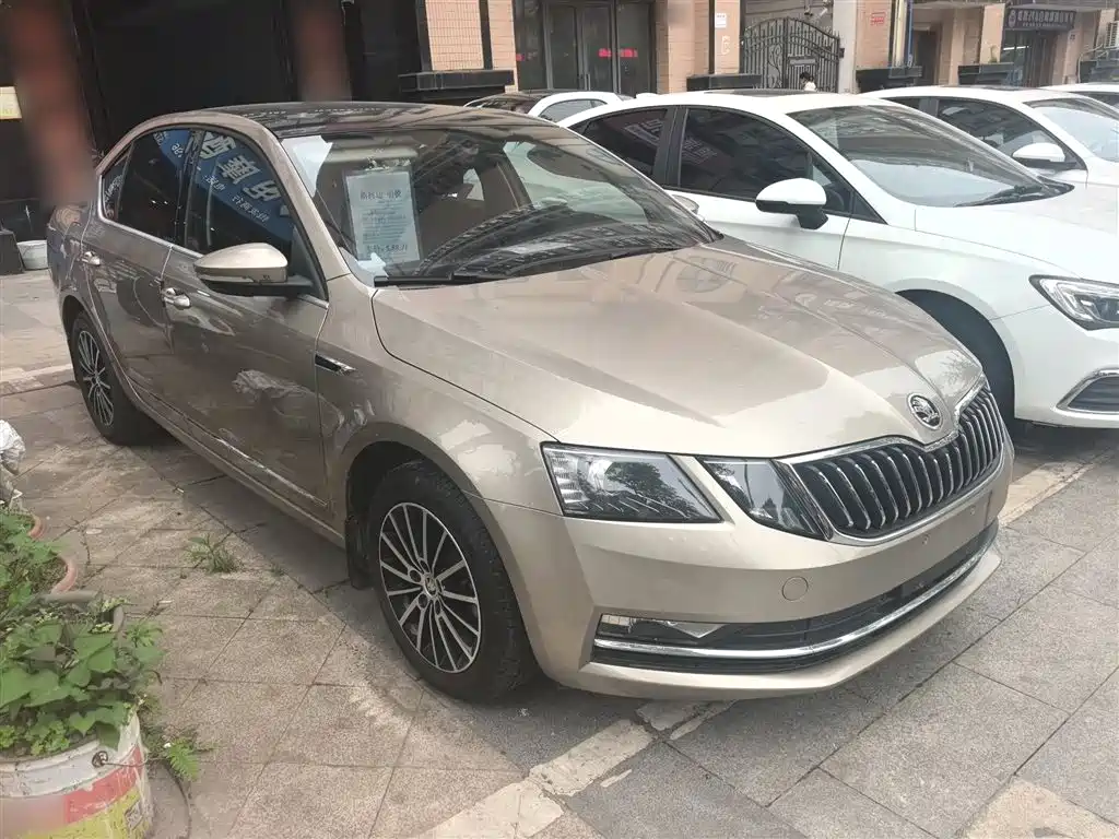 Skoda Octavia 2019 1.5L AT Luxury V