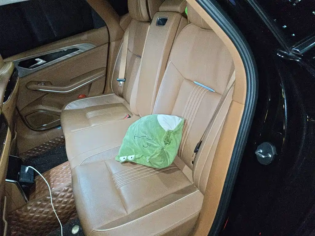 Hongqi Hongqi H9 — миниатюра 13