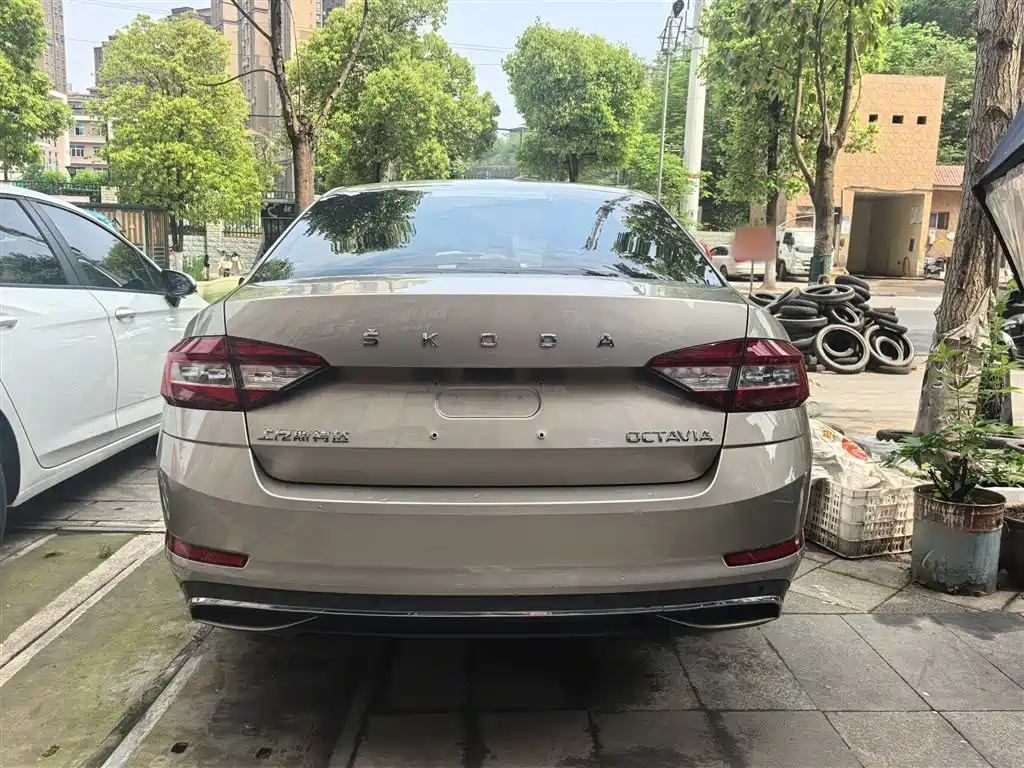 Skoda Octavia 2019 1.5L AT Luxury V