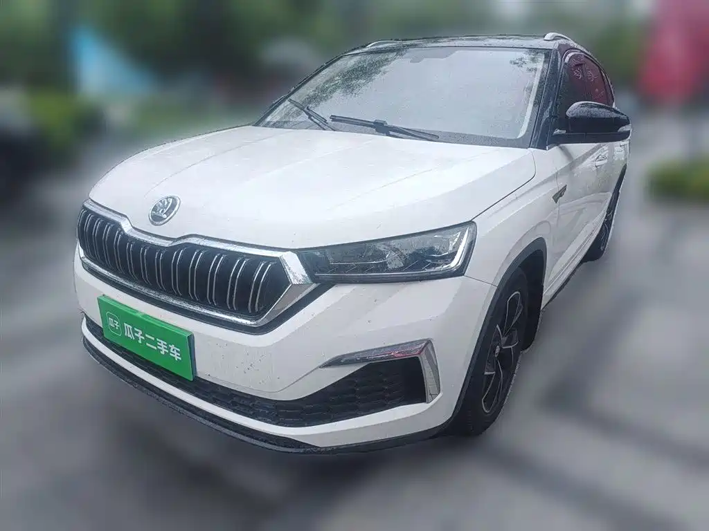 Купить Skoda Kamiq