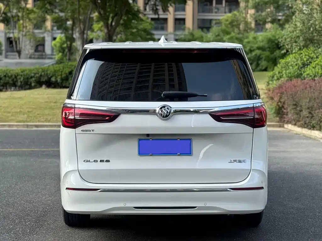 Buick GL8 — миниатюра 16