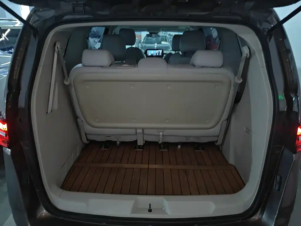 Buick GL8 — миниатюра 19