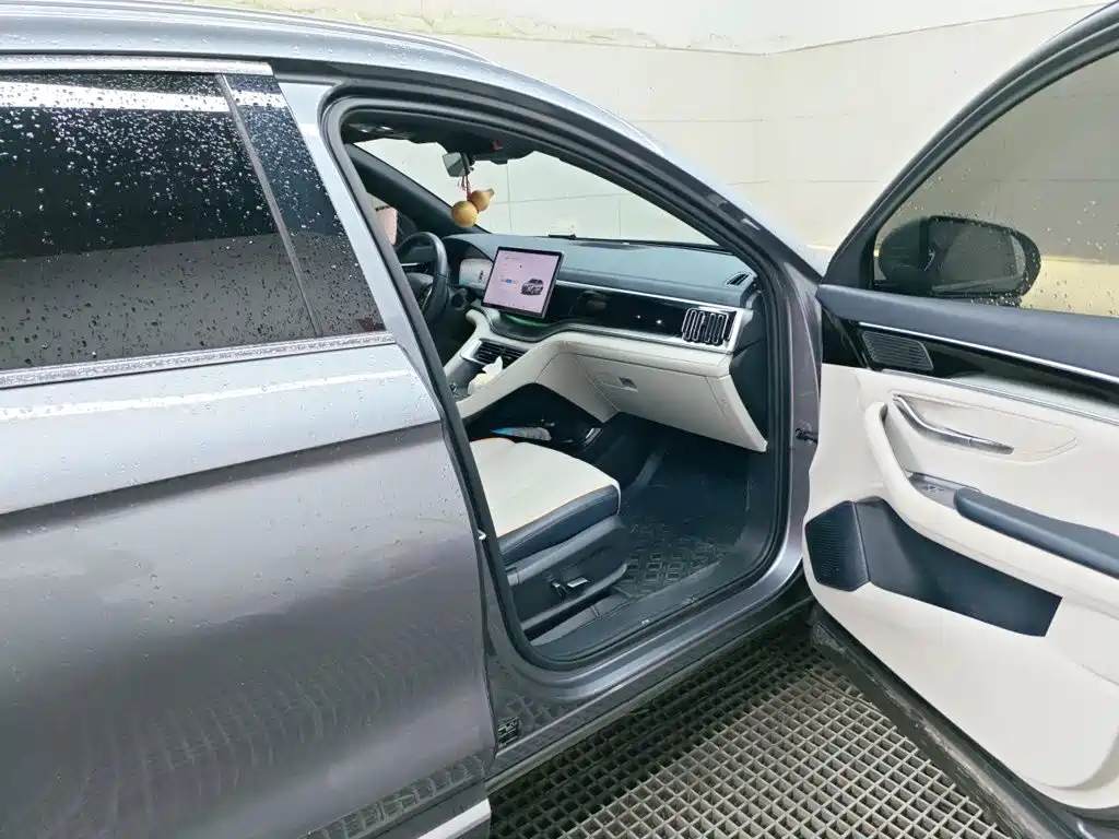 BYD PLUS New Energy — миниатюра 19