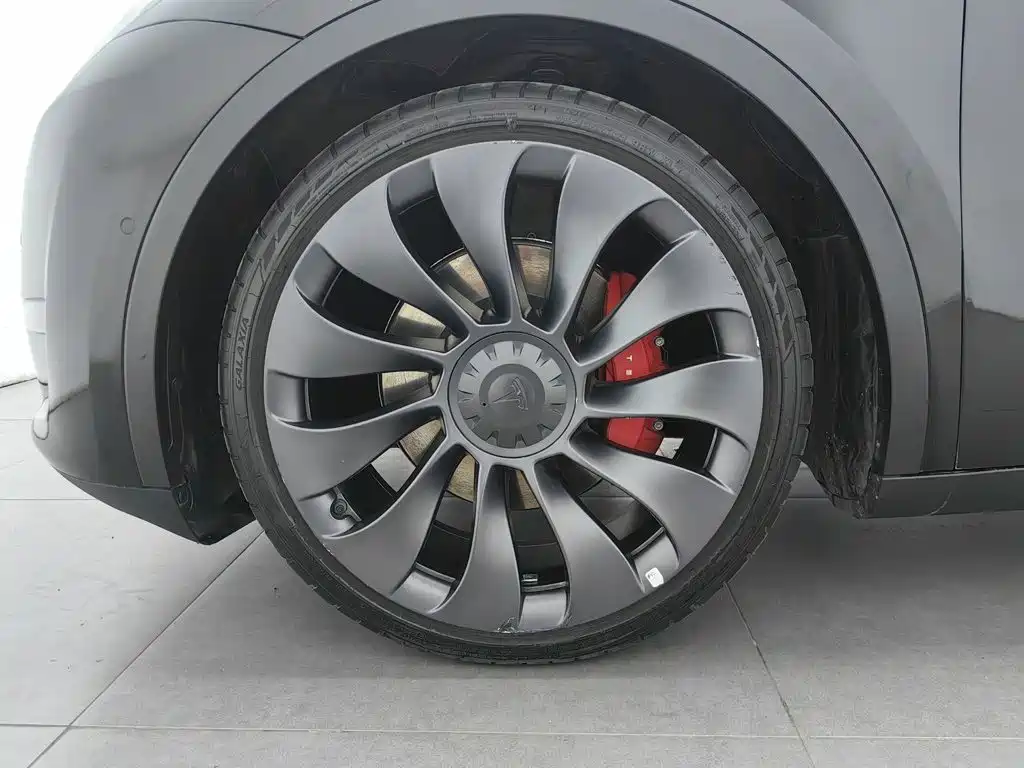 Tesla Model Y — миниатюра 17