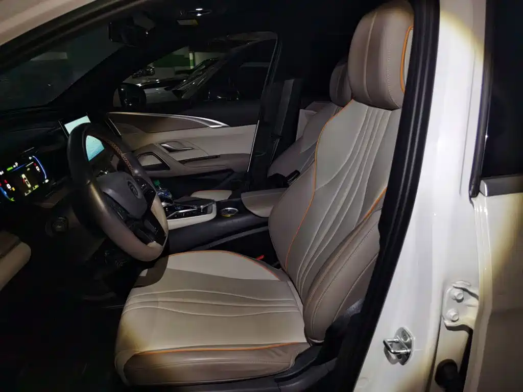 BYD Pro New Energy — миниатюра 11