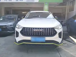 Haval Chitu Jinxiang Edition 1.5T Copper Rabbit