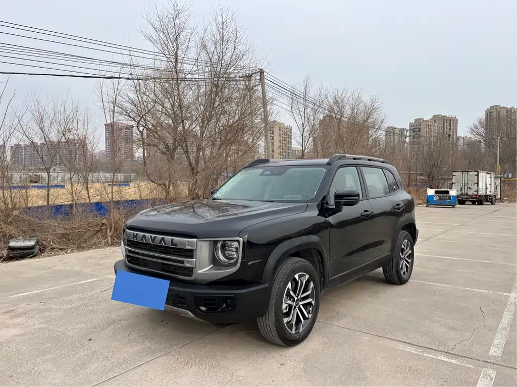HAVAL BIG DOG