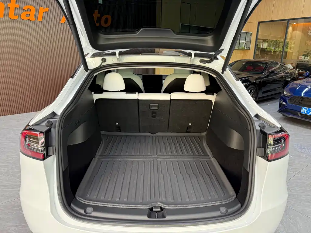 Tesla Model Y — миниатюра 25