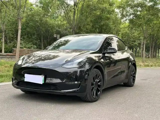 Tesla Model