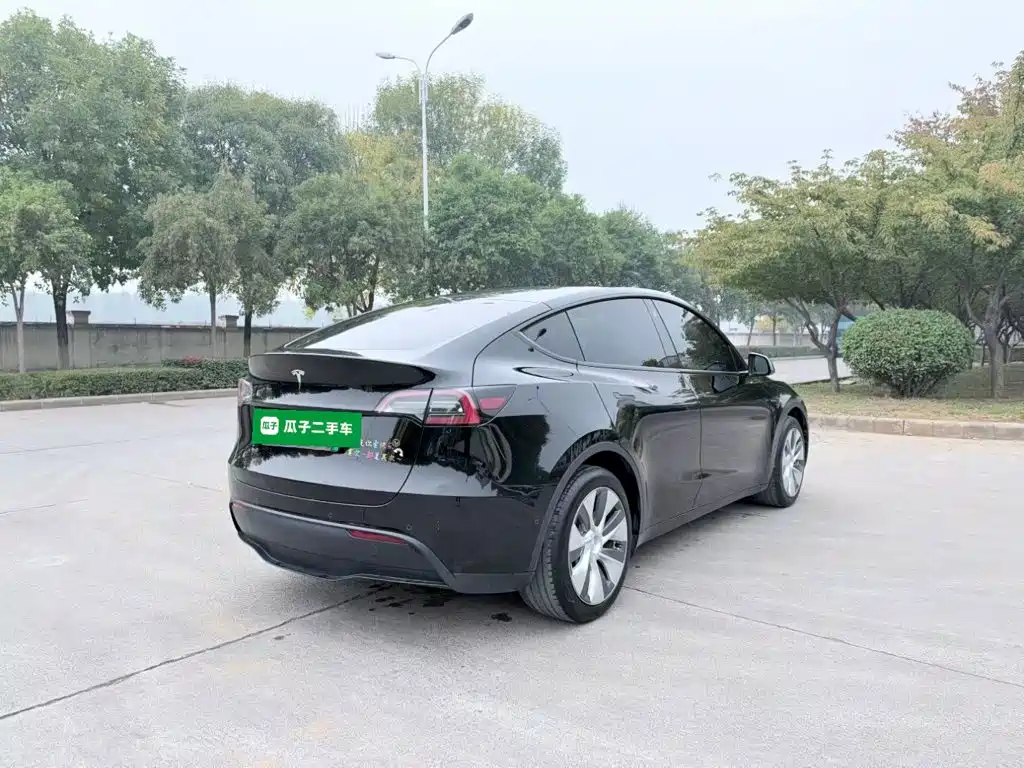 Tesla Model Y — миниатюра 7