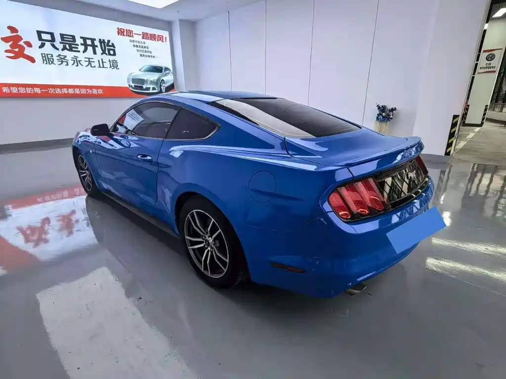 Ford Mustang — миниатюра 7