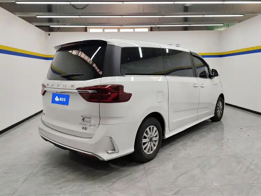 SAIC MAXUS CHASE G20