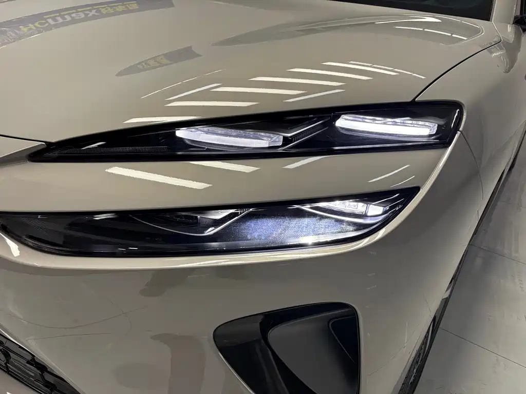 BYD SEA LION 06 NEW ENERGY