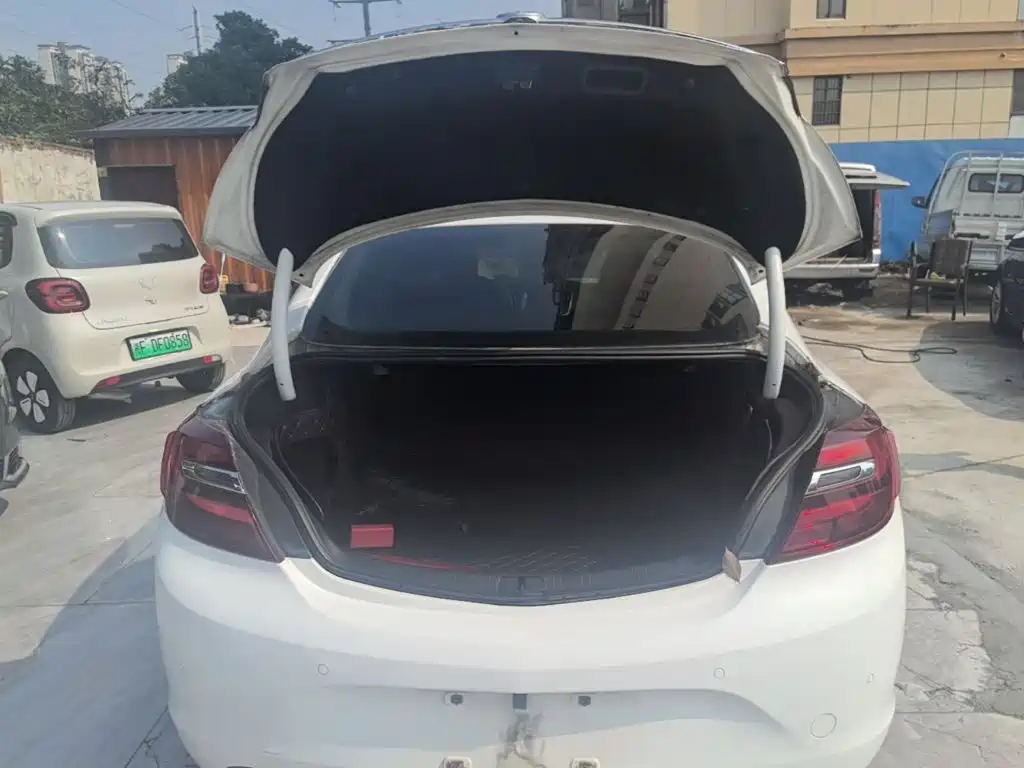 Buick Regal — миниатюра 19
