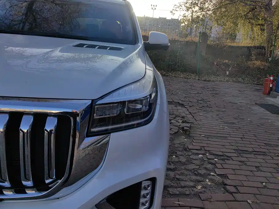 Haval H9 — миниатюра 5