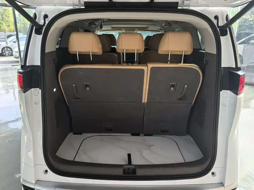 Denza Denza D9 — миниатюра 16