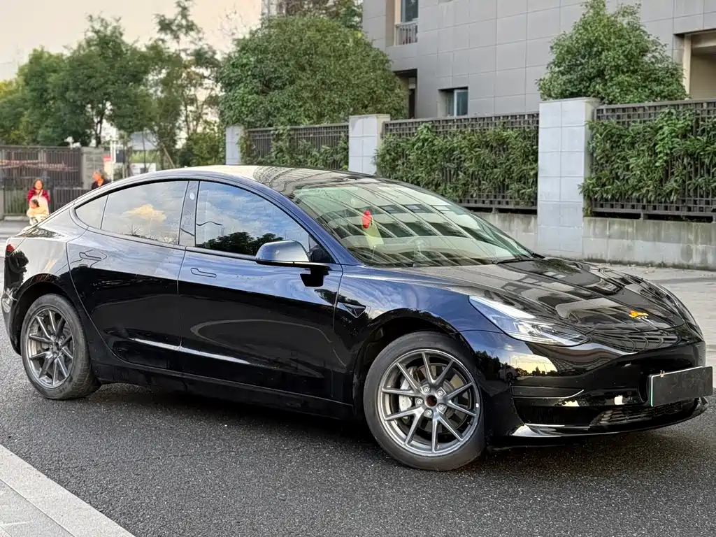 Tesla Model 3 — миниатюра 3