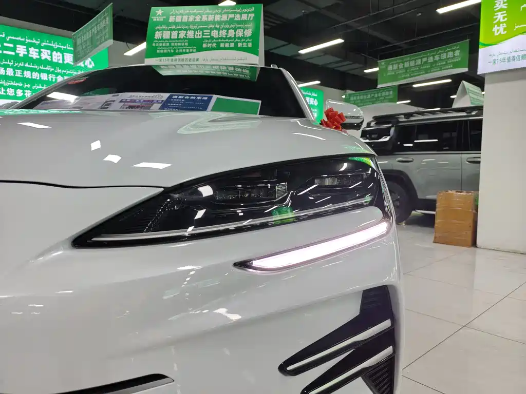 BYD SONGJIANG NEW ENERGY