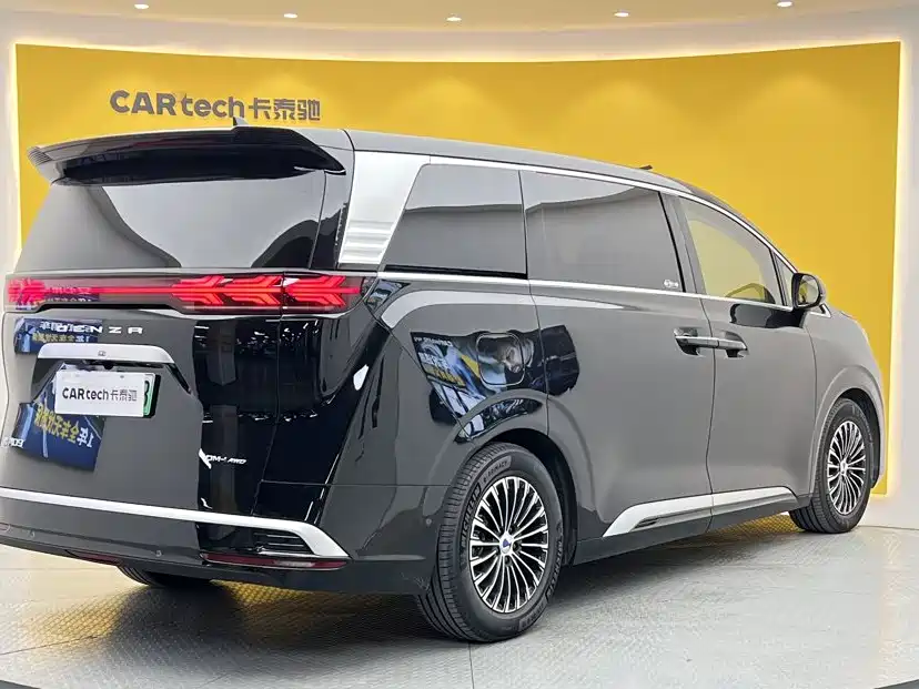 Denza Denza D9 — миниатюра 4