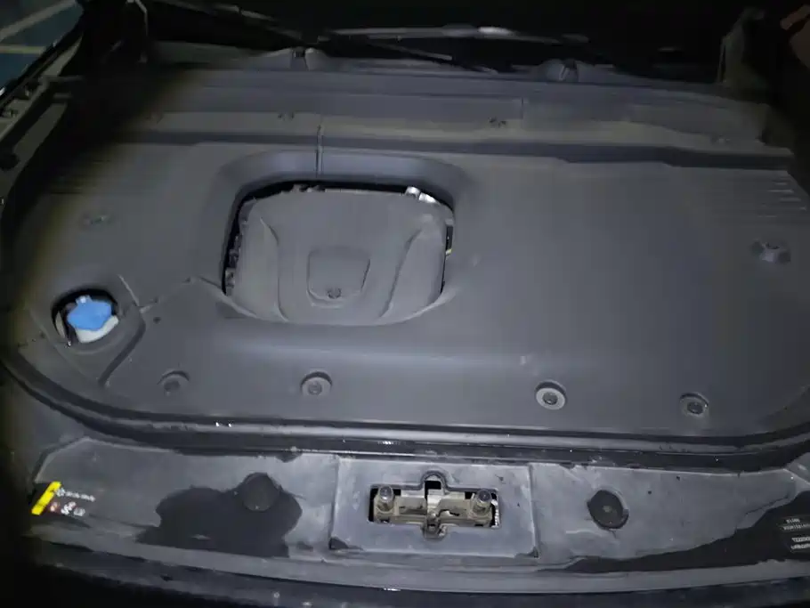 WEI PAI WEI BRAND BLUE MOUNTAIN