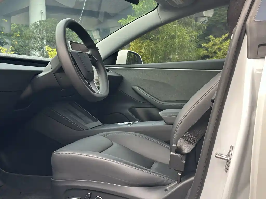 Tesla Model 3 — миниатюра 13