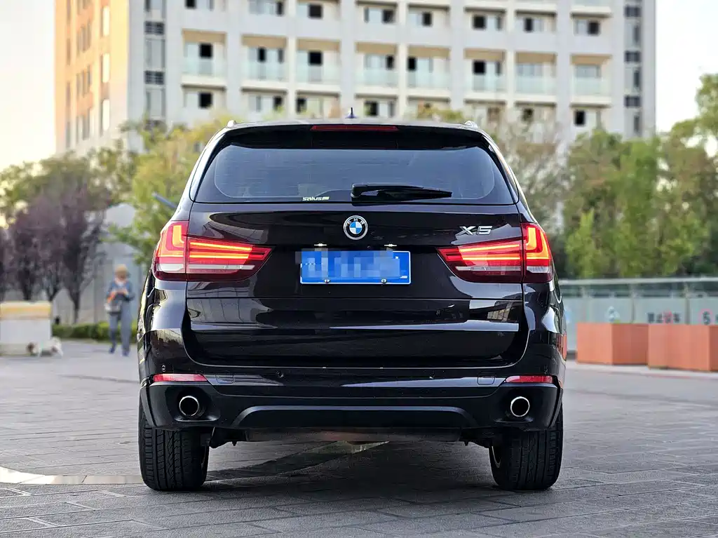 BMW X5 (Import) — миниатюра 8