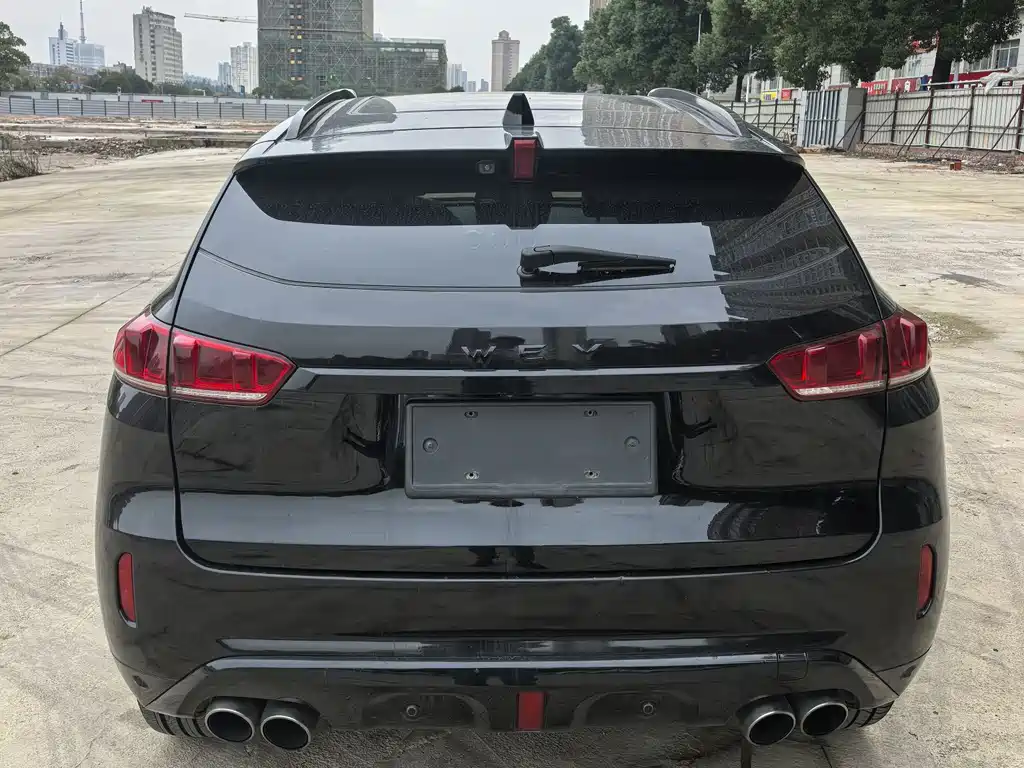 WEI PAI WEI BRAND VV7