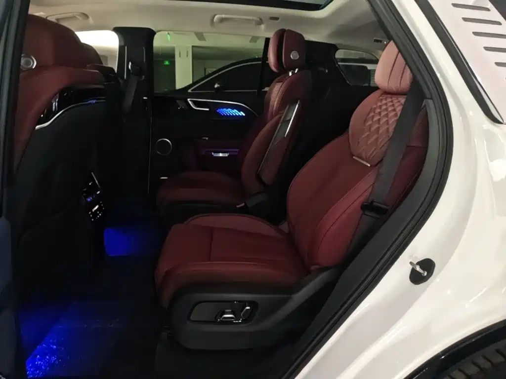 Hongqi Hongqi E-HS9 — миниатюра 17
