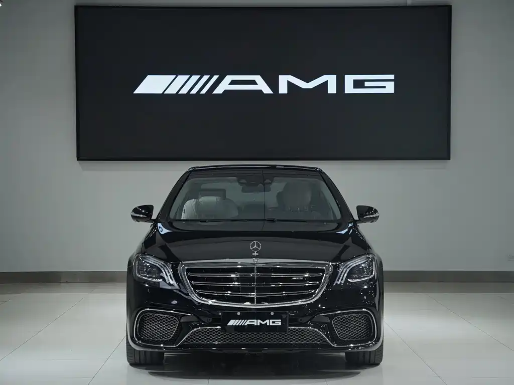 Mercedes-Benz S-Class A MG S AMG 2014 AMG S 65 L