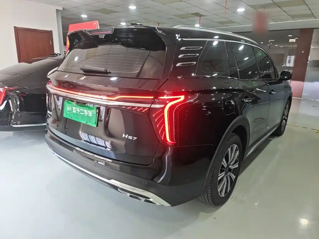 Hongqi Hongqi HS7 PHEV — миниатюра 7