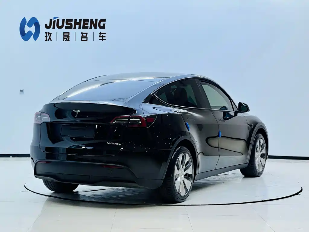 Tesla Model Y — миниатюра 21