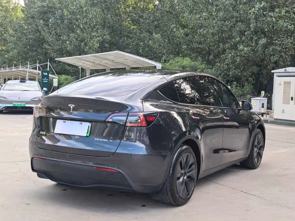 Tesla Model Y — миниатюра 13
