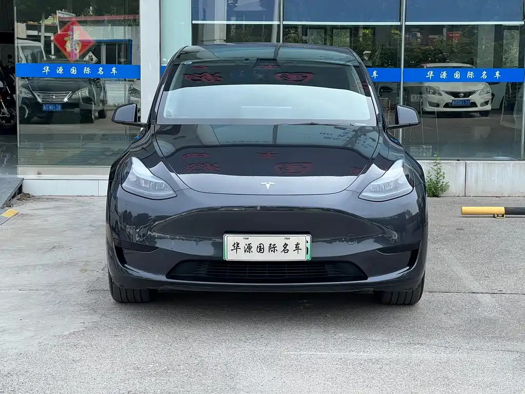 Tesla Model Y — миниатюра 2